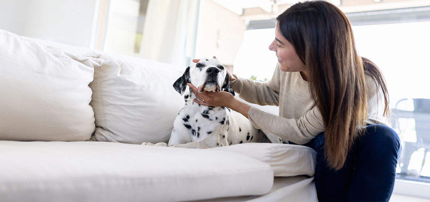 Oklahoma Pet Insurance Coverage
